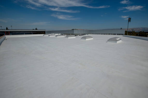 Best Emergency Roof Repair Services  in Taylor, PA