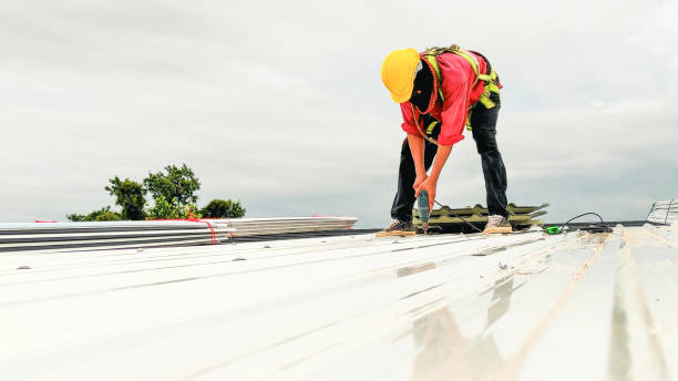 Best Skylight Installation and Repair  in Taylor, PA