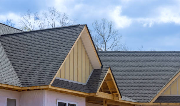 Best Roof Coating and Sealing  in Taylor, PA