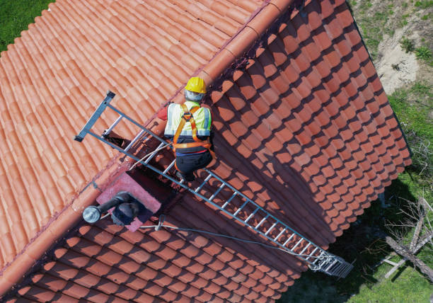 Best Sheet Metal Roofing  in Taylor, PA